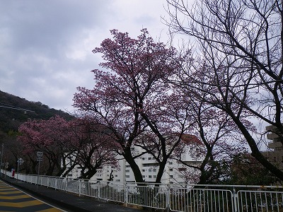 20120228-IMGP3243.jpg