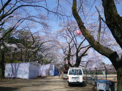 20130324-IMGP4841.jpg